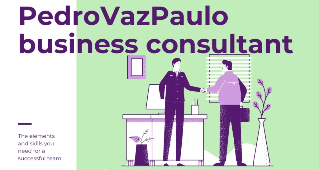 Pedrovazpaulo Business Consultant