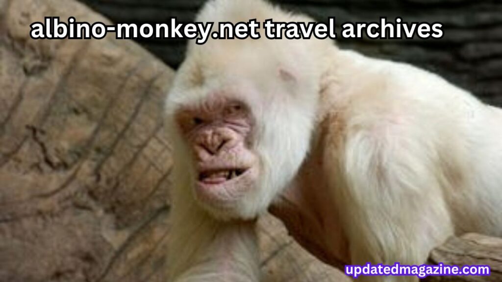 albino-monkey.net travel archives