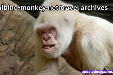 albino-monkey.net travel archives