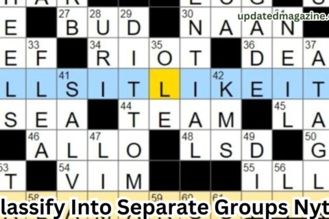 Classify Into Separate Groups Nyt