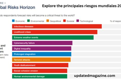 https://finanzasdomesticas.com/principales-riesgos-mundiales-2021/